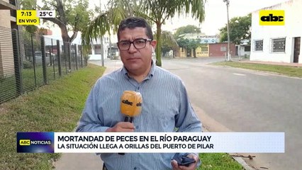 Video: preocupa mortandad de peces