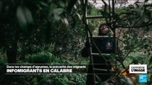 Derrière l'image : dans les champs d'agrumes, la précarité des migrants en Calabre