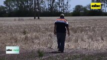Video: Sequía en Argentina golpea a toda la producción agropecuaria