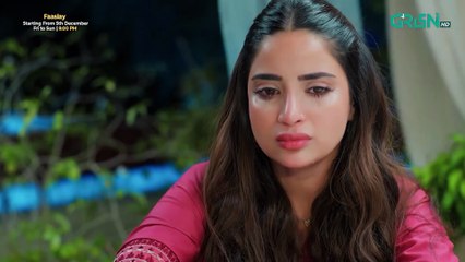 Pamaal Episode 18 (Subtitles) 2nd Dec 25   Digitally Jazz, Happilac, Jhalak Beauty Cream   Green TV