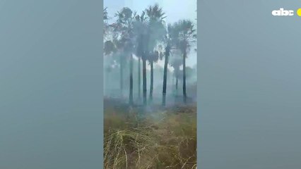 Incendio Forestal En Ruta Luque – San Bernardino