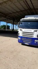 Camiones están varados en Aduanas Argentina y pierden cajas de tomates