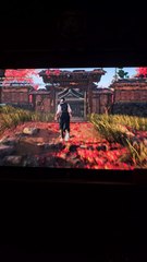 Je suis en train de jouer à Rise of the Ronin