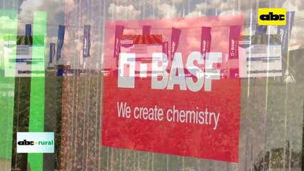 Video: Presentaron nueva Soja Potent I2X de BASF
