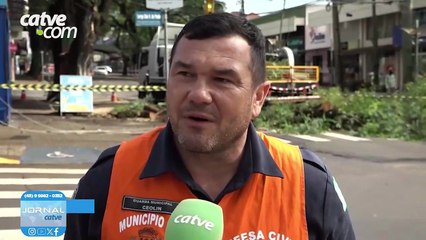 Após queda, árvores são avaliadas pela Secretaria de Meio Ambiente em Toledo