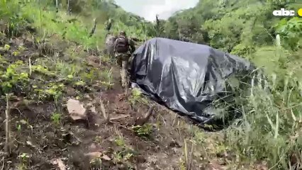 Detectan dos campamentos narcos con 10 toneladas de marihuana en Amambay