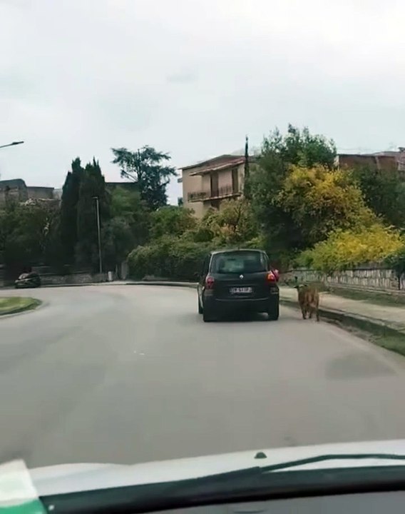 Vicinanza - Un 50enne stabiese è stato denunciato (02.12.25)