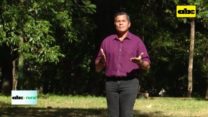 Video: Bloques internacionales cuestionan sistemas productivos sostenibles