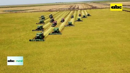 Video: Tecnología de suavizado de suelos en campos bajos para arroz, soja y otros
