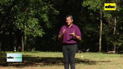 Video: En Volendam capacitan sobre temas administrativos a forestales