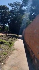 Dos hombres agreden a policías