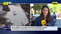 Videos: Las cifras se triplicaron en las últimas semanas