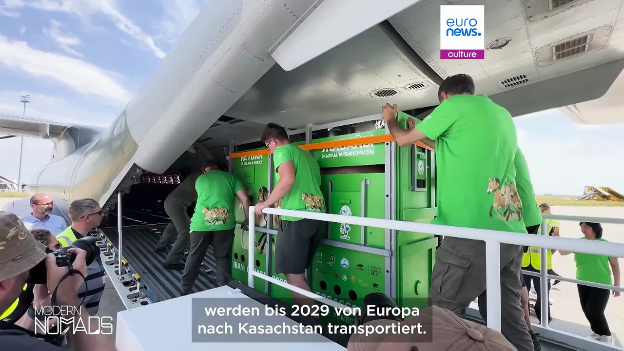 Kasachstan bringt seine vom aussterben bedrohten przewalski-pferde zurück