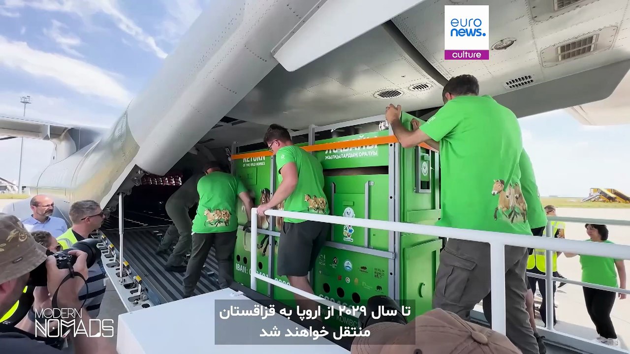 زندگی کوچ‌نشینی درآسیای میانه؛ اسب شوالسکی به دشت‌های‌ سبز قزاقستان بازمی‌گردد
