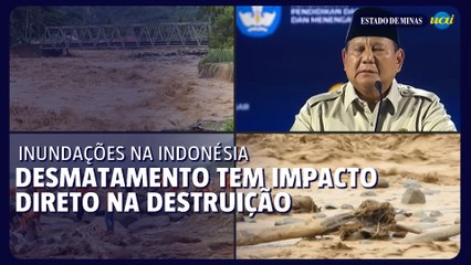 Como o desmatamento piorou as inundações na Indonésia