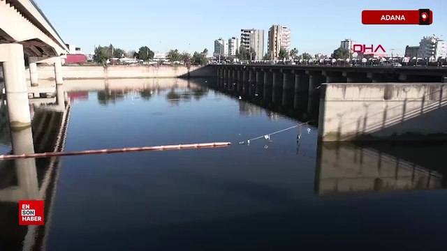 Adana Seyhan Nehri'nde balık ölümleri yaşandı