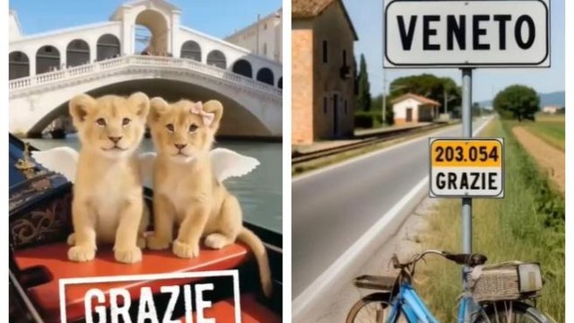 Il leoncino di Luca Zaia chiude la campagna elettorale: «Un ringraziamento per tutte le 203.054 preferenze ricevute»