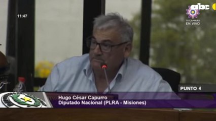 Diputados se pasaron haciendo hurras y "mea culpa" al son de polca, en vez de legislar