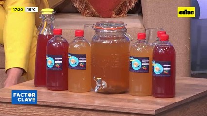 Video: “Scooby Shot”, bebidas probióticas a base de kombucha artesanales