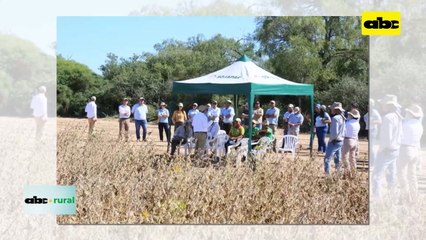 Video: Inbio realizó su jornada de campo de soja en el Chaco