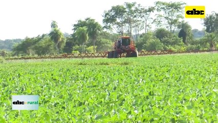 Video: Inteligencia Artificial en agricultura para aumentar rendimientos