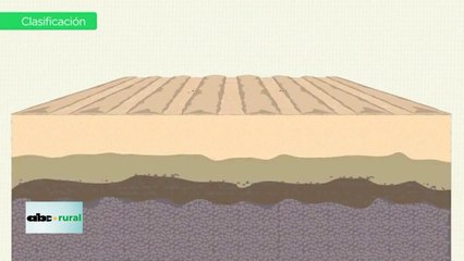 Producción Agrícola En Suelos Arenosos Y Densidad En Zafriña De Soja