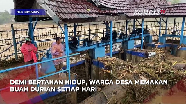 Warga Desa di Tapanuli Tengah Terisolir, Masinton: Bertahan Hidup dengan Makan Durian