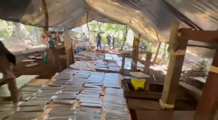 Senad Anuló Campamento Con Más De 14 Toneladas De Marihuana En  Zanja Pytã