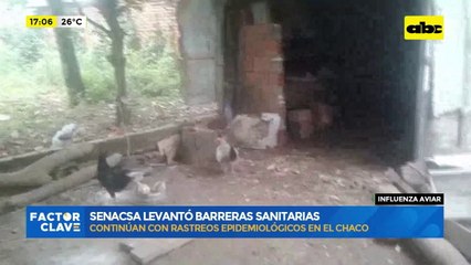 Influenza aviar: Senacsa levantó barreras sanitarias
