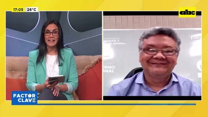 Video: Paraguay confirma un tercer foco de gripe aviar