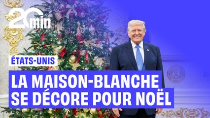 Portrait en Lego, sapins XXL… Les images des décorations de Noël de la Maison-Blanche