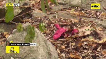 Video: Madre de niña desaparecida irá al Buen Pastor