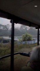 Tourists Describe Terrifying Moment Elephant Guarding Calves Charged Them on Botswana Safari