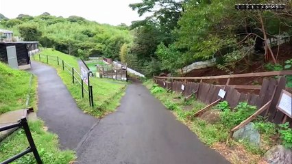 ミニドキュメンタリー カメのみぞ、知る