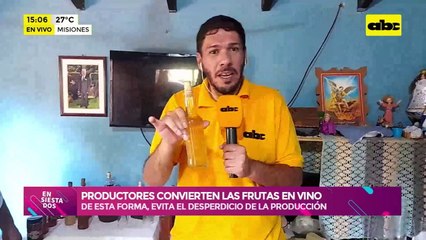 Misiones: Productores convierten las frutas en vino