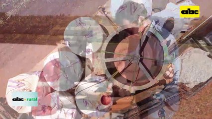 Video: Congreso paraguayo de semillas para agosto