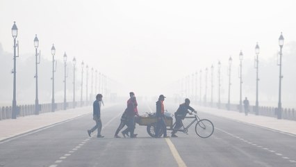 Vehicular emissions, not stubble burning, identified as top cause of Delhi pollution
