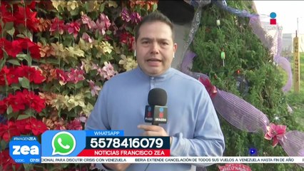 En la Central de Abasto de CDMX podrás encontrar una variedad de adornos navideños