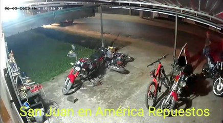 Video De Circuito Cerrado De América Repuestos Muestra El Momento Del Ataque Del Toro