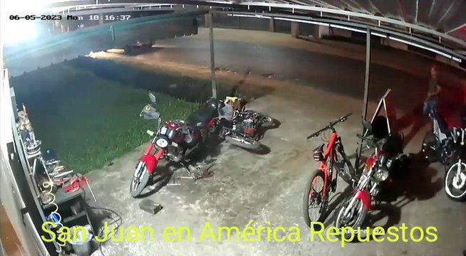 Video De Circuito Cerrado De América Repuestos Muestra El Momento Del Ataque Del Toro