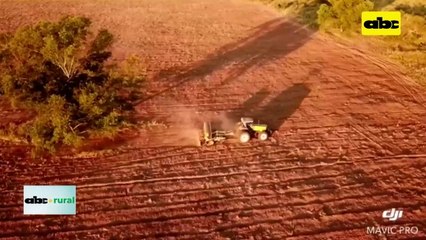 Video: Desarrollo de soja y canola para el Chaco