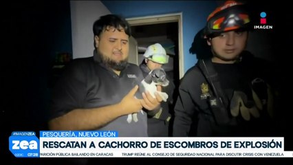 Protección Civil rescata a cachorro atrapado entre escombros de explosión