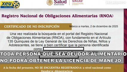 Toda persona que sea deudor alimentario no podrá obtener la licencia de manejo