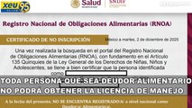 Toda persona que sea deudor alimentario no podrá obtener la licencia de manejo