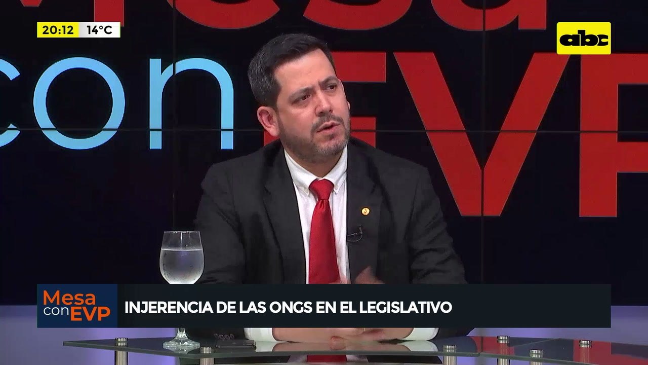 Video: Leyes que establecen gobernanza con ONGS