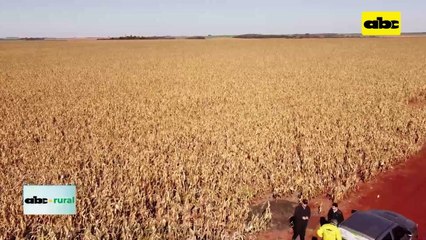 Video: Inbio presentó proyecciones meteorológicas