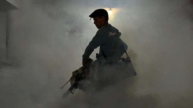 Cuba confirma la muerte de al menos 33 personas por enfermedades transmitidas por mosquitos