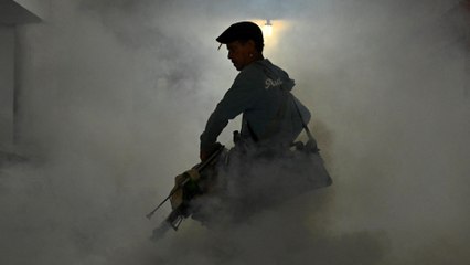 Cuba confirma la muerte de al menos 33 personas por enfermedades transmitidas por mosquitos