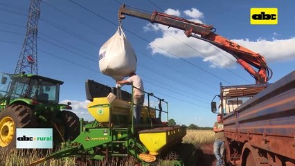 Video: Fertilizantes diferenciados con más propiedades