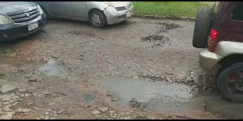 Nauseabunda cloaca empaña colorida Expo frutilla en Areguá